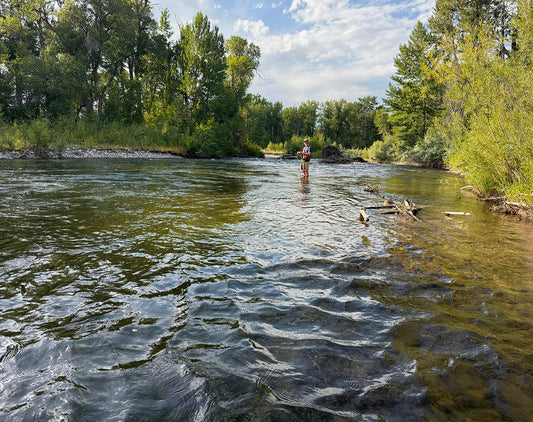 Ryan fly fishing on the Gallatin