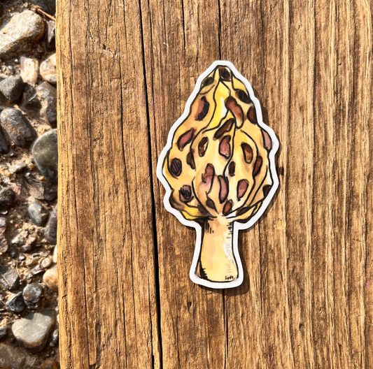 Morel Sticker