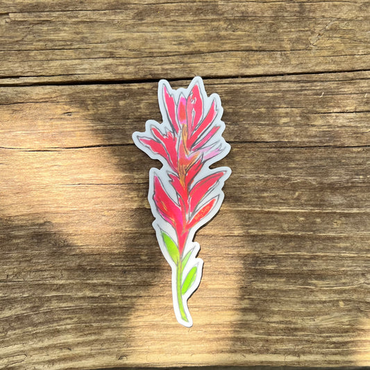 Solo Indian Paintbrush Sticker