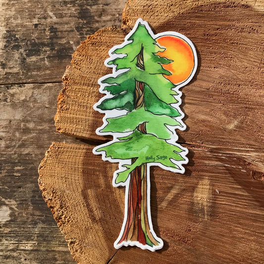 Sun behind redwood tree sticker