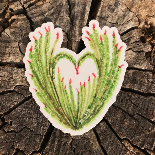 An ocotillo plant sticker shaped like a heart