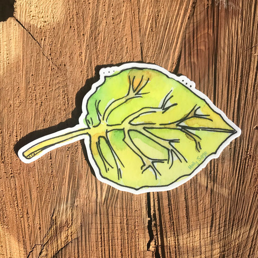 Aspen leaf sticker