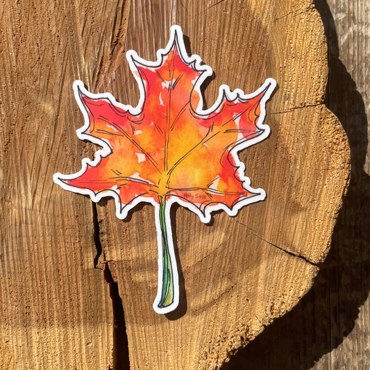 Autumn Maple Sticker