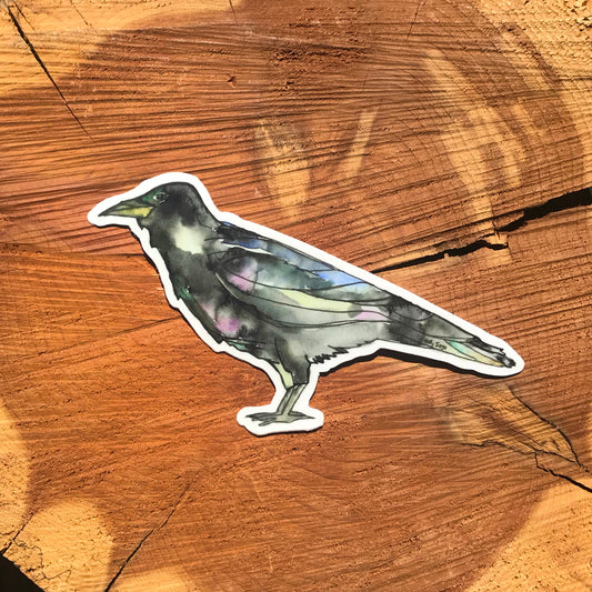 Beautifully painted raven sticker
