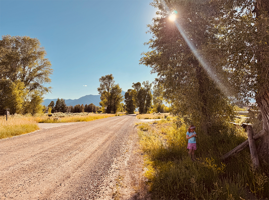 Dirt Road Dreaming