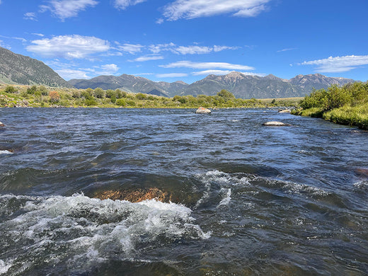 Waters and Wildflowers of Montana