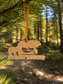 Mama and Baby Bear Ornament