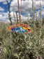 Sunset Mountain Feather Ornament