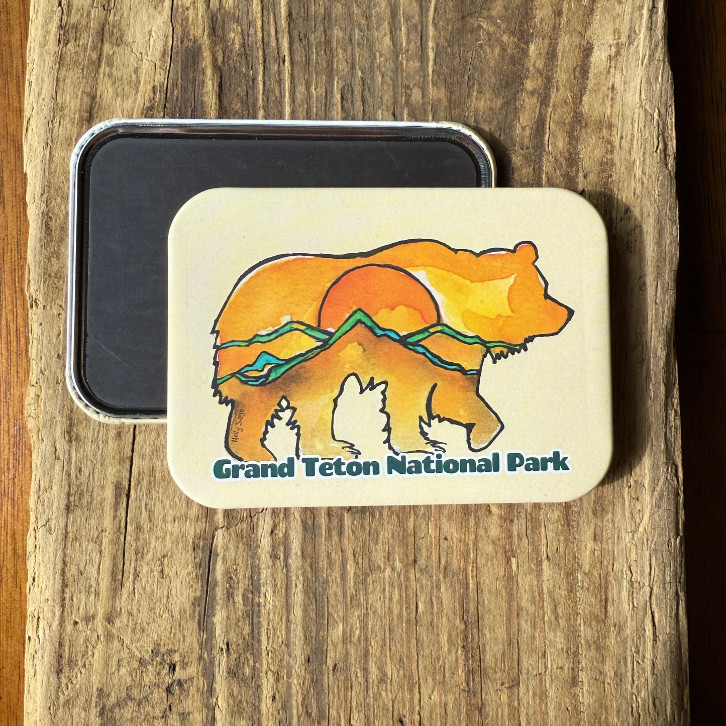Sunrise Bear Grand Teton National Park Magnet