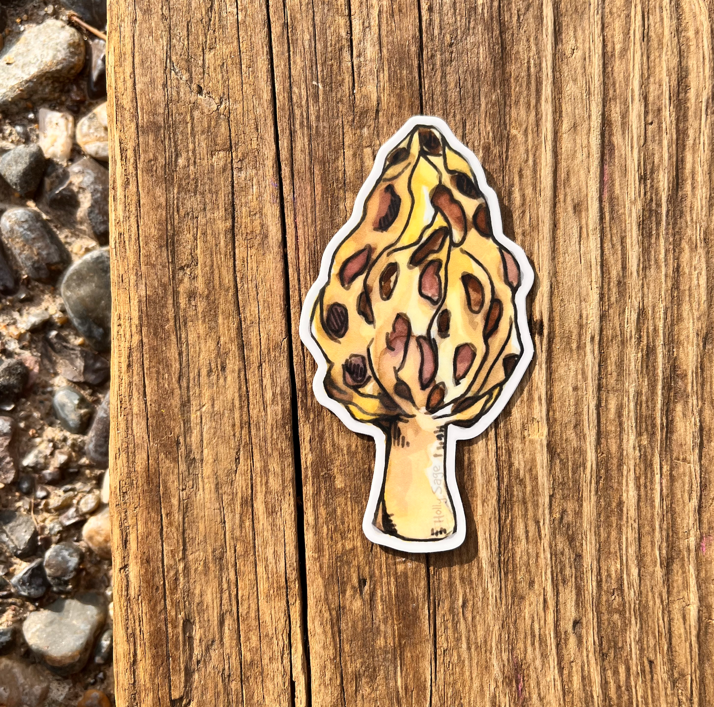 Morel Sticker