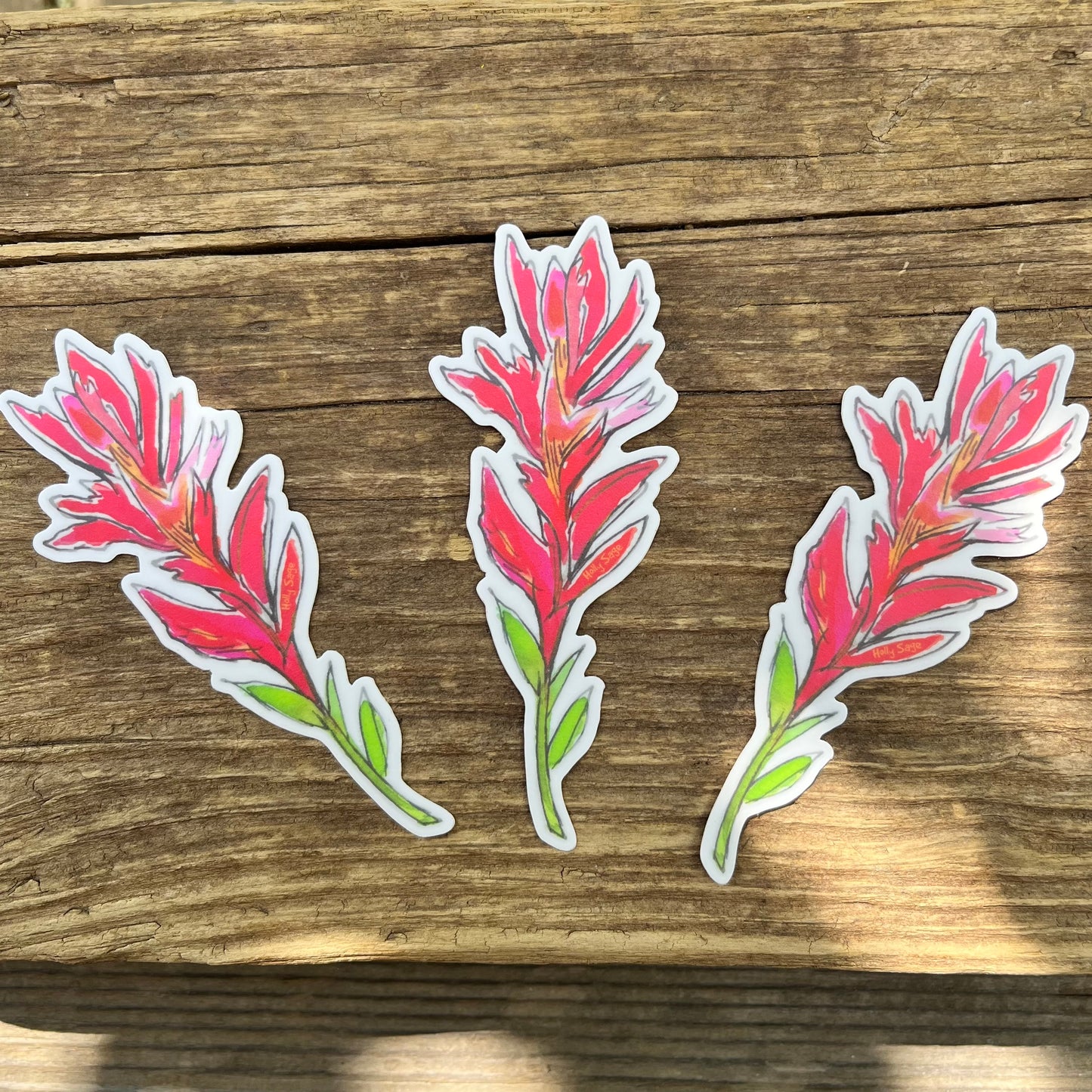 Solo Indian Paintbrush Sticker