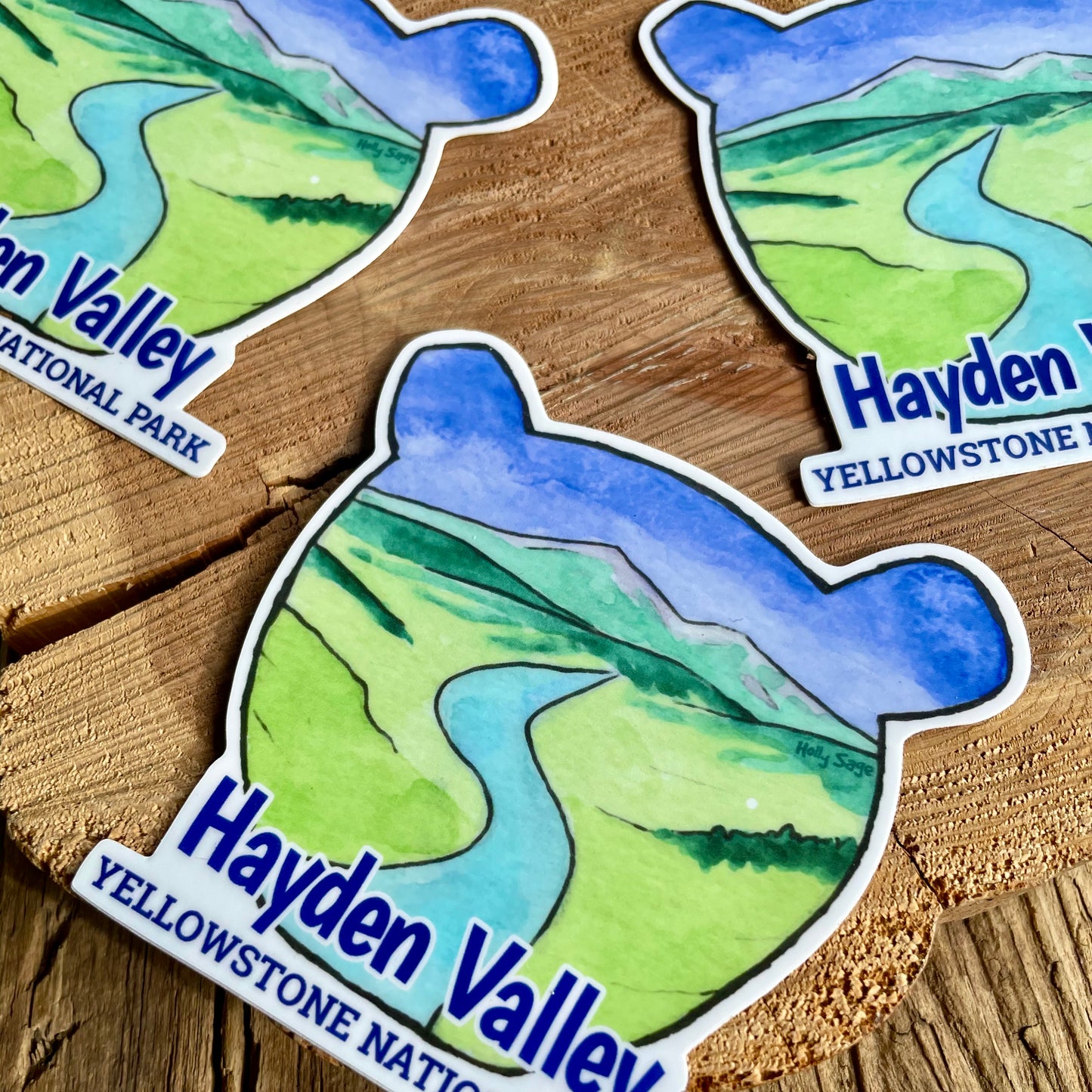 Hayden Valley - Yellowstone National Park