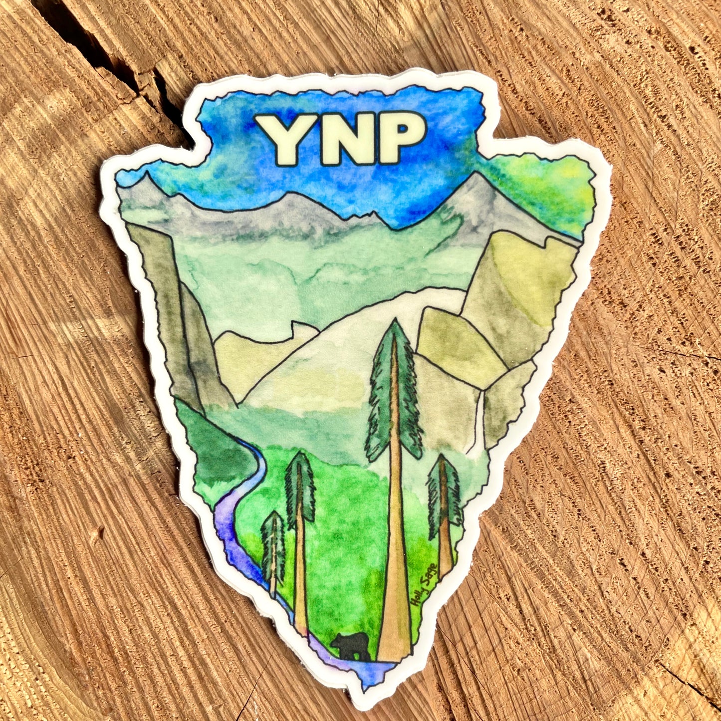 Yosemite National Park Arrowhead
