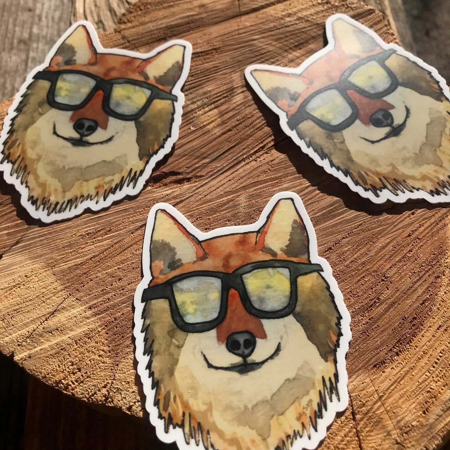 Cool Coyote Sticker