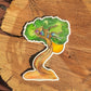 Moon behind a juniper tree sticker