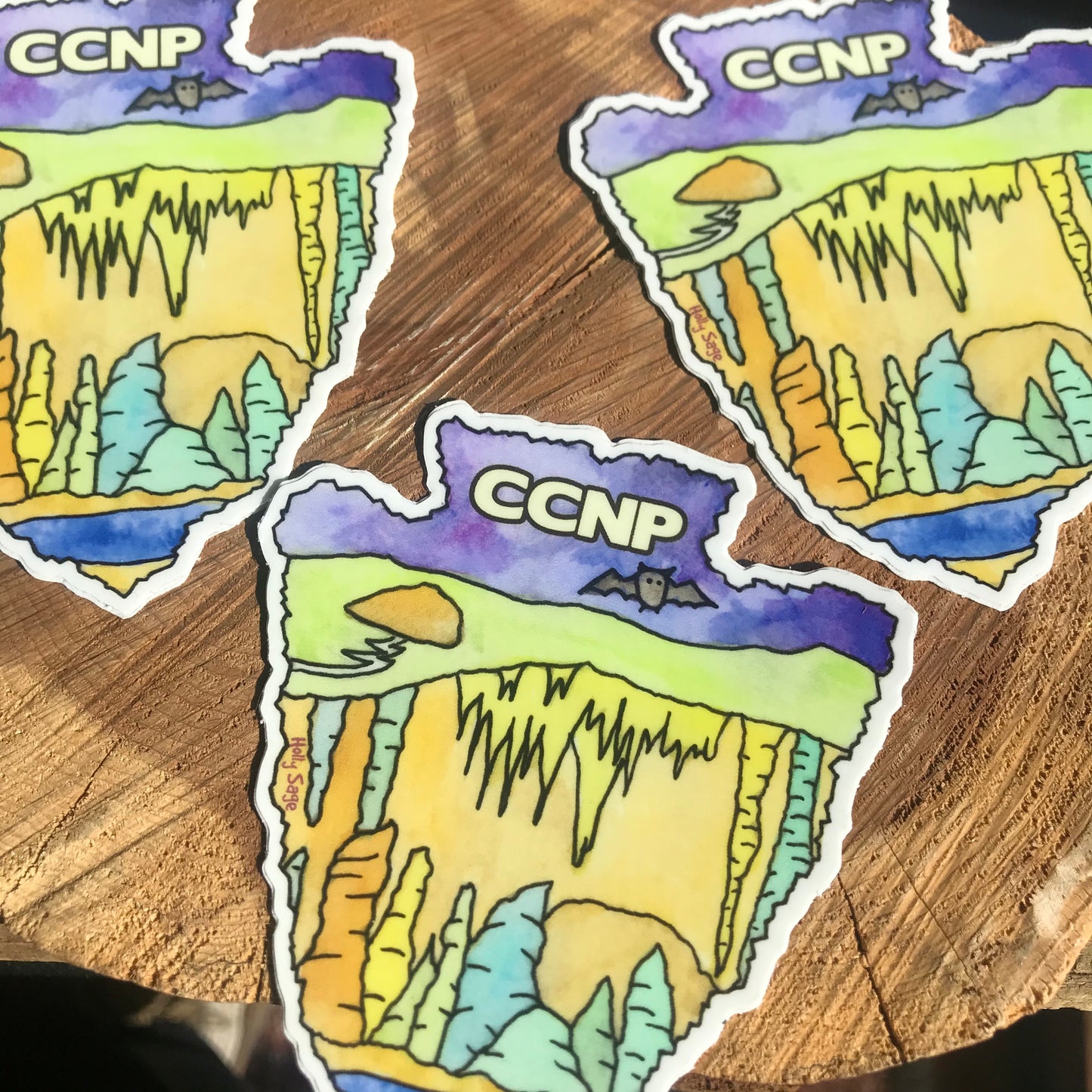 Carlsbad Caverns National Park Arrowhead Sticker