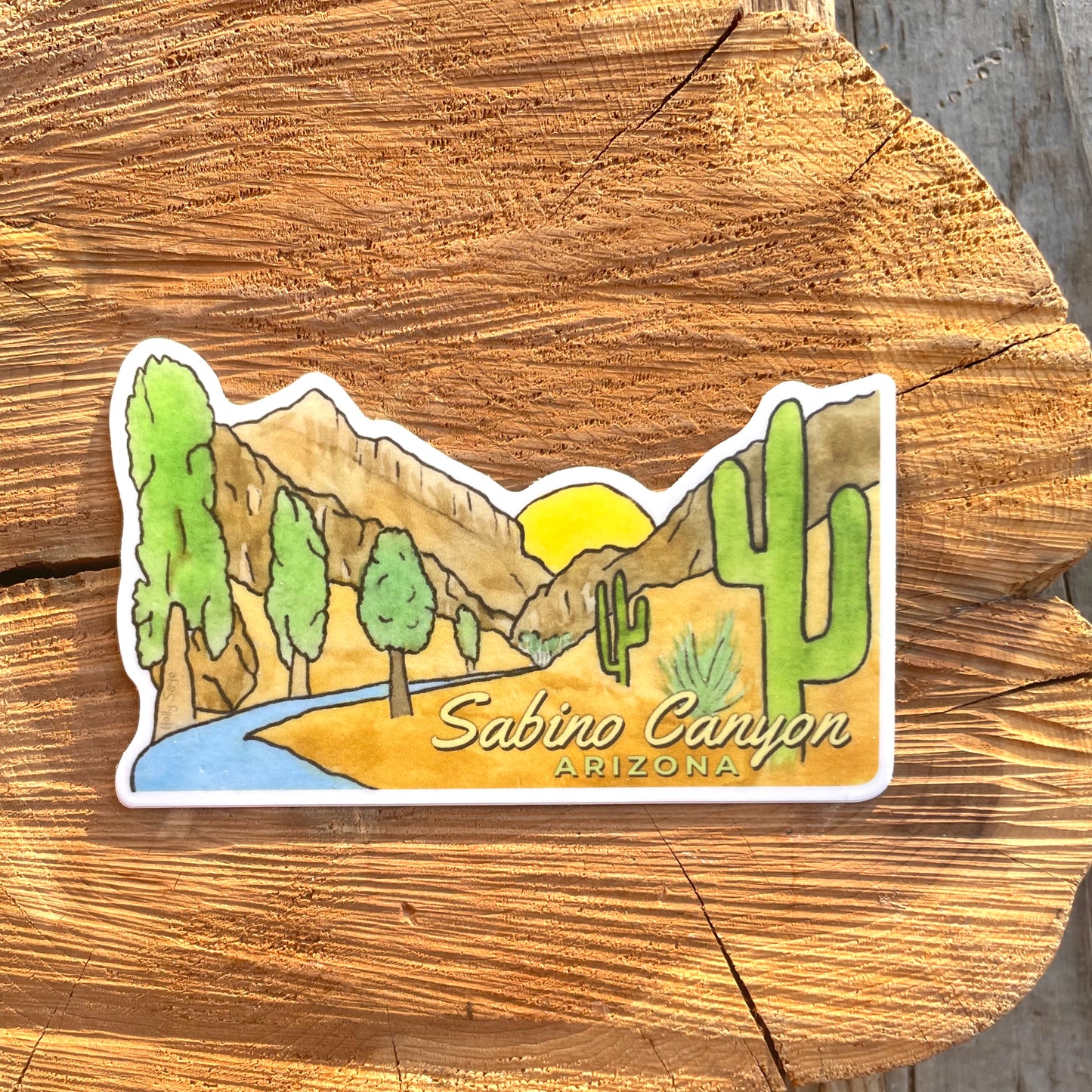 Sabino Canyon Sticker