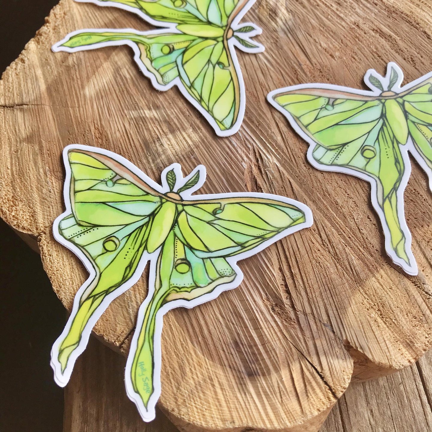 Luna Moth Sticker