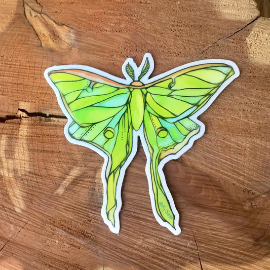 Beautifully painted luna moth sticker