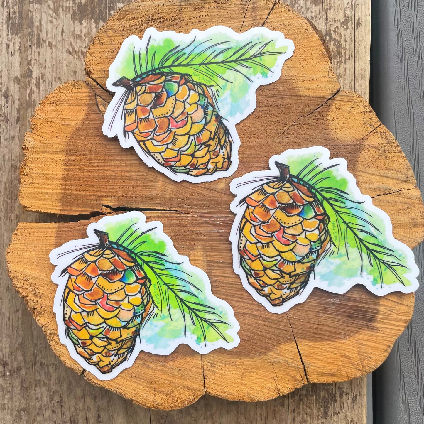 Pine Cone Calm Sticker